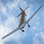 Harvard Aerobatics - in flight
